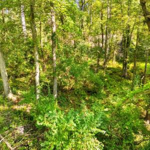 Photo #18 of CABIN BRANCH ROAD, MARSHALL, VA 3.0 acres