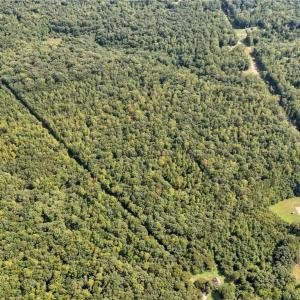 Photo #8 of BROAD ST, GUM SPRING, VA 54.1 acres