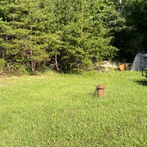Photo #5 of 17464 EXECUTIVE LN, CULPEPER, VA 9.0 acres