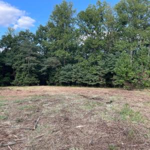Photo #2 of 17464 EXECUTIVE LN, CULPEPER, VA 9.0 acres