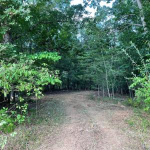 Photo #3 of 17464 EXECUTIVE LN, CULPEPER, VA 9.0 acres