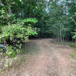 Photo #4 of 17464 EXECUTIVE LN, CULPEPER, VA 9.0 acres