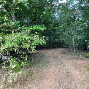 Photo #7 of 17464 EXECUTIVE LN, CULPEPER, VA 9.0 acres