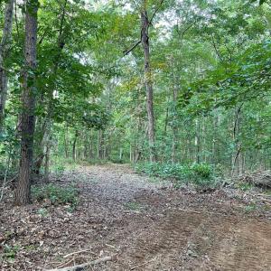 Photo #19 of 17464 EXECUTIVE LN, CULPEPER, VA 9.0 acres