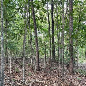Photo #21 of 17464 EXECUTIVE LN, CULPEPER, VA 9.0 acres