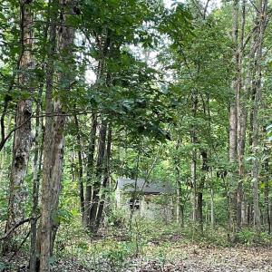 Photo #22 of 17464 EXECUTIVE LN, CULPEPER, VA 9.0 acres