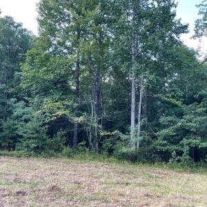 Photo #1 of 17464 EXECUTIVE LN, CULPEPER, VA 9.0 acres