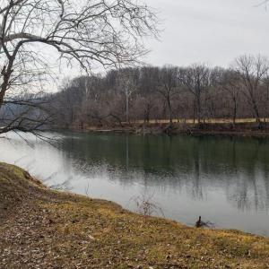 Photo #43 of SHENANDOAH RIVER RD, SHENANDOAH, VA 1.8 acres