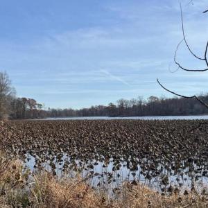 Photo #3 of RILEY RD, WARRENTON, VA 13.7 acres