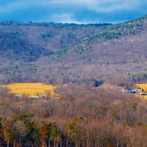 Photo #9 of 8 PROMISE LN, STANLEY, VA 6.3 acres