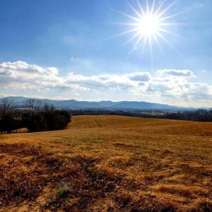 Photo #12 of 8 PROMISE LN, STANLEY, VA 6.3 acres