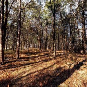 Photo #14 of 8 PROMISE LN, STANLEY, VA 6.3 acres