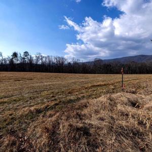 Photo #11 of 8 PROMISE LN, STANLEY, VA 6.3 acres