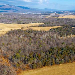 Photo #5 of 8 PROMISE LN, STANLEY, VA 6.3 acres