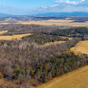 Photo #6 of 8 PROMISE LN, STANLEY, VA 6.3 acres