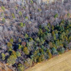 Photo #10 of 8 PROMISE LN, STANLEY, VA 6.3 acres