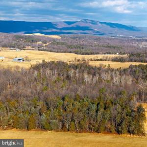 Photo #13 of 8 PROMISE LN, STANLEY, VA 6.3 acres