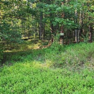 Photo #6 of LEES CT, LOCUST GROVE, VA 10.5 acres