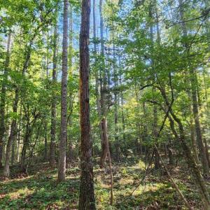 Photo #11 of LEES CT, LOCUST GROVE, VA 10.5 acres