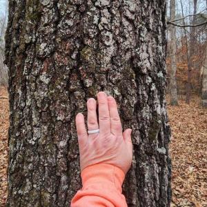 Photo #5 of LEES CT, LOCUST GROVE, VA 10.5 acres