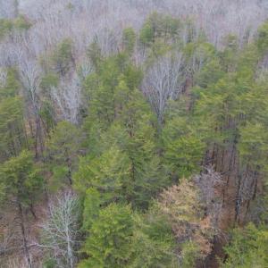 Photo #3 of LEES CT, LOCUST GROVE, VA 10.5 acres