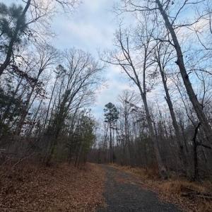Photo #3 of WOODLANDS DRIVE, ORANGE, VA 2.4 acres