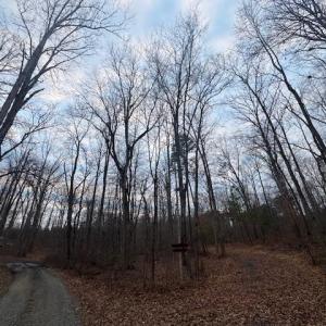 Photo #4 of WOODLANDS DRIVE, ORANGE, VA 2.4 acres