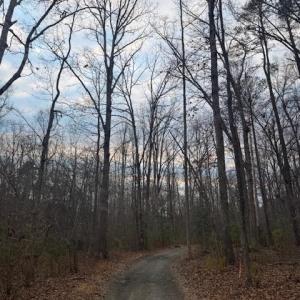 Photo #5 of WOODLANDS DRIVE, ORANGE, VA 2.4 acres