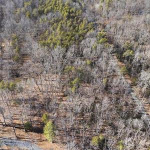 Photo #3 of HART CT, CULPEPER, VA 10.0 acres