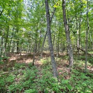 Photo #7 of 2016 VAUGHN SUMMIT RD, LURAY, VA 7.7 acres