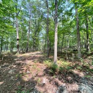 Photo #8 of 2016 VAUGHN SUMMIT RD, LURAY, VA 7.7 acres