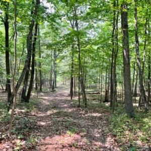 Photo #10 of 2016 VAUGHN SUMMIT RD, LURAY, VA 7.7 acres