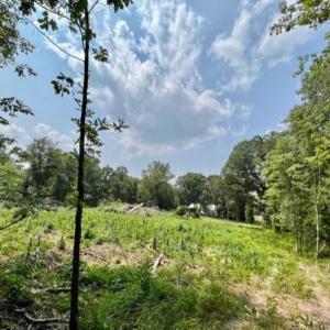 Photo #1 of 2016 VAUGHN SUMMIT RD, LURAY, VA 7.7 acres