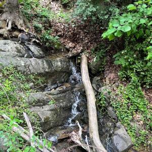 Photo #15 of 12 GALLOWAY SPRING LN, SHENANDOAH, VA 22.4 acres