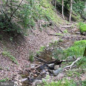 Photo #16 of 12 GALLOWAY SPRING LN, SHENANDOAH, VA 22.4 acres