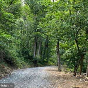 Photo #13 of 12 GALLOWAY SPRING LN, SHENANDOAH, VA 22.4 acres