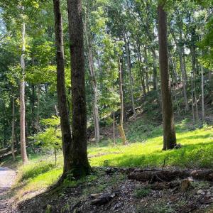 Photo #14 of 12 GALLOWAY SPRING LN, SHENANDOAH, VA 22.4 acres