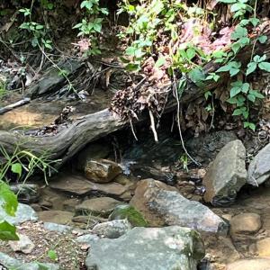 Photo #17 of 12 GALLOWAY SPRING LN, SHENANDOAH, VA 22.4 acres