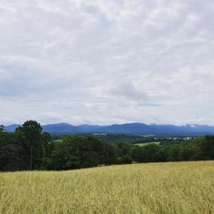 Photo #9 of 12 GALLOWAY SPRING LN, SHENANDOAH, VA 22.4 acres