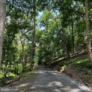 Photo #12 of 12 GALLOWAY SPRING LN, SHENANDOAH, VA 22.4 acres