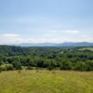 Photo #4 of 12 GALLOWAY SPRING LN, SHENANDOAH, VA 22.4 acres