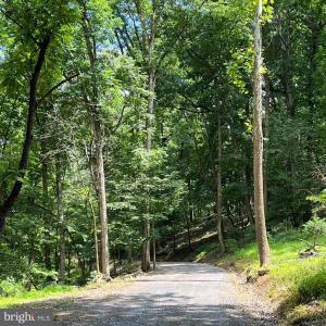 Photo #10 of 12 GALLOWAY SPRING LN, SHENANDOAH, VA 22.4 acres