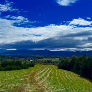 Photo #1 of 12 GALLOWAY SPRING LN, SHENANDOAH, VA 22.4 acres