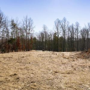 Photo #23 of 12507 JOSEPHINE LN, FREDERICKSBURG, VA 2.0 acres