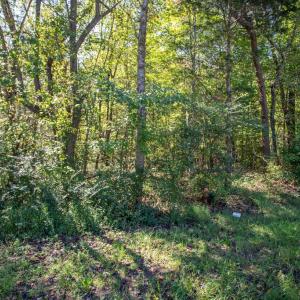 Photo #3 of  3.0 acres