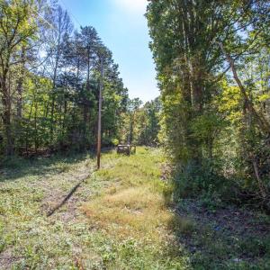 Photo #9 of  3.0 acres