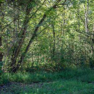 Photo #10 of  3.0 acres