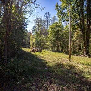 Photo #11 of  3.0 acres