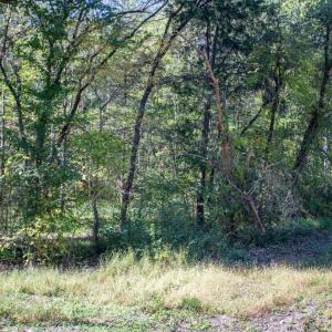 Photo #12 of  3.0 acres