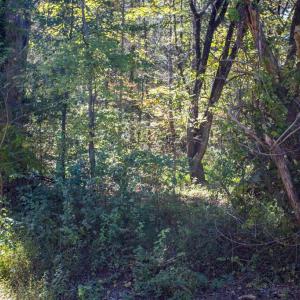 Photo #15 of  3.0 acres